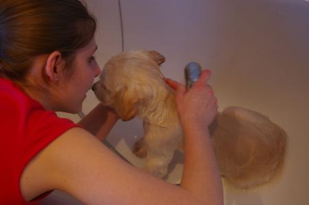 Mon premier bain
