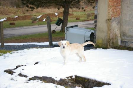 J'adore la neige