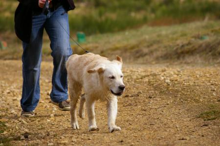 J'adore me promener 