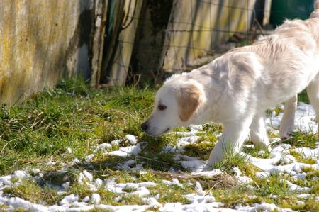 Ma premiere neige et j'adore !